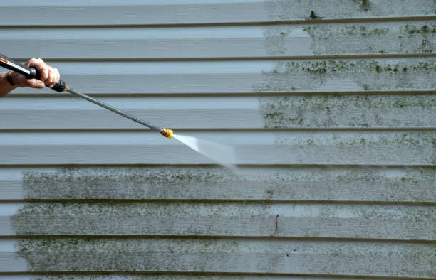 Best Attic Mold Removal  in Perkins, OK
