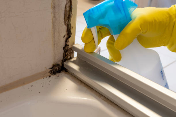 Attic Mold Removal in Perkins, OK