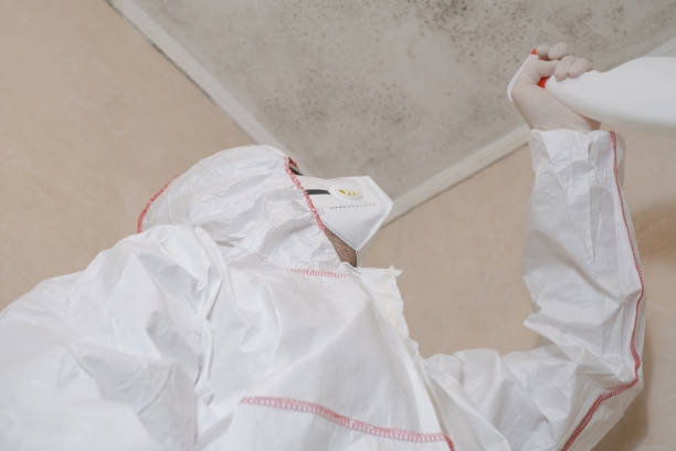 Best Home Mold Removal  in Perkins, OK