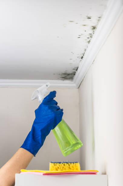 Best Residential Mold Removal  in Perkins, OK